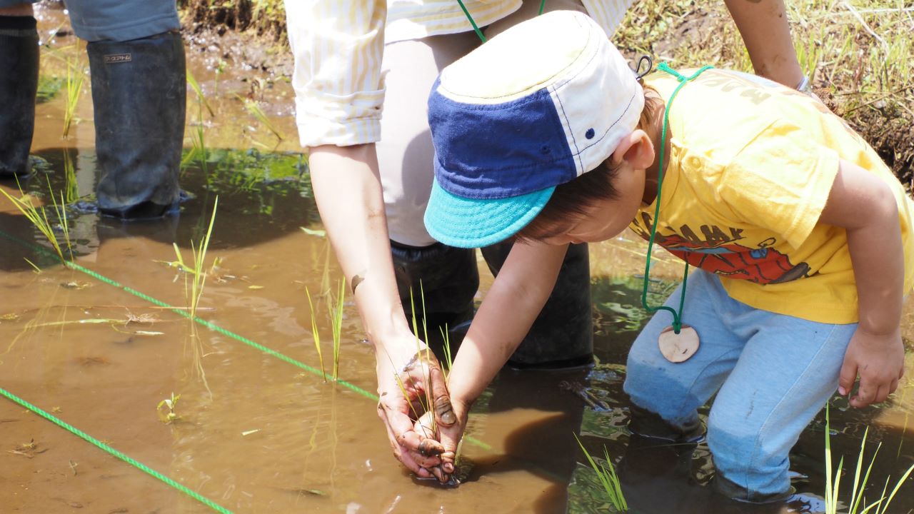 初夏の里山で田植えにチャレンジ！（6/30開催）